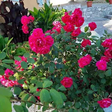 Horafas Vila